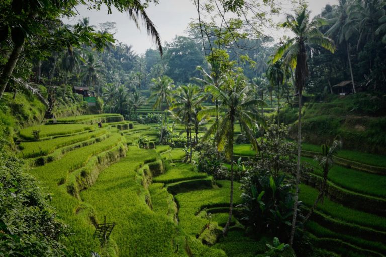 Bali: Indonesischer Tourismusminister überprüft Grenzöffnung