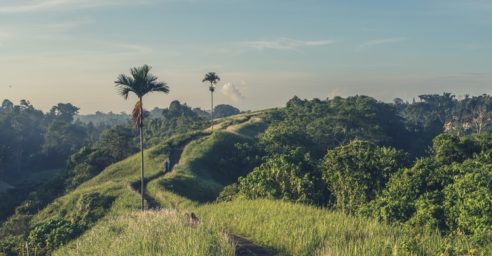 Indonesien plant ein 5-Jahres-Visum für Arbeit und Aufenthalt auf Bali