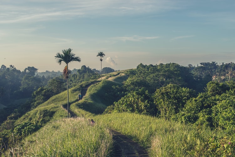 Indonesien plant ein 5 Jahres Visum für Arbeit und Aufenthalt auf Bali