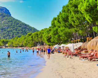 Mallorca: Hotelbranche fordert Vorgehen gegen Sauftourismus