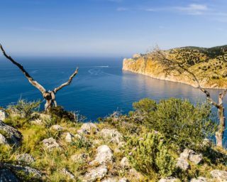Mallorca: Buchungsniveau trotz Öffnung für britischen Tourismus niedrig