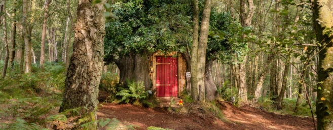 Airbnb bietet eine von Winnie-the-Pooh inspirierte Hütte zur Miete