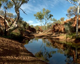 West-Australien öffnet sich ab Februar für Touristen